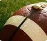 Fantasy Football